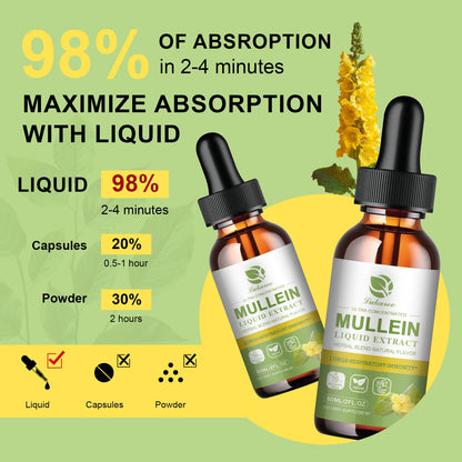 Mullein Drops Suitable For Lung, detoxification And Cleansing, Vegetarian Mullein Leaf Extract For Respiration, Immunity