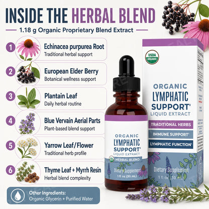 Lymphatic Support Drops Organic Lymphatic Cleanse Immune Support Supplement| Lymphatic Support with Echinacea 30 Servings