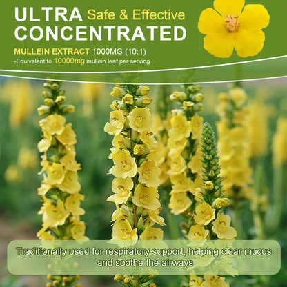Mullein Drops Suitable For Lung, detoxification And Cleansing, Vegetarian Mullein Leaf Extract For Respiration, Immunity