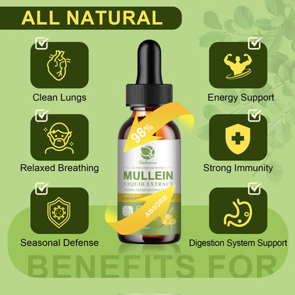 Mullein Drops Suitable For Lung, detoxification And Cleansing, Vegetarian Mullein Leaf Extract For Respiration, Immunity
